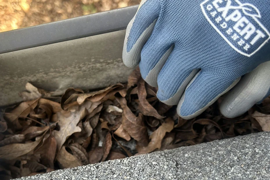 Byron Center Gutter Cleaning