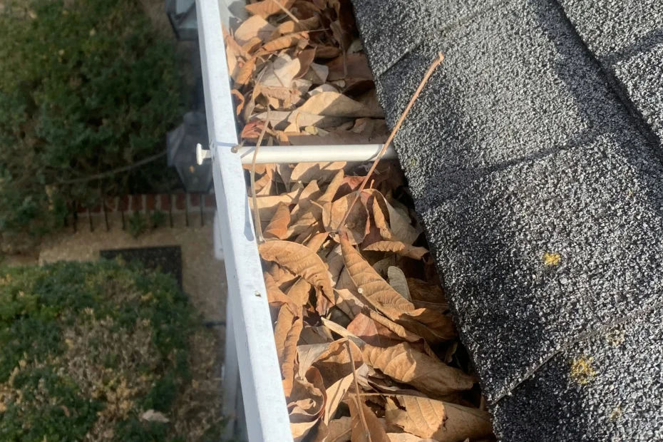 Byron Center Gutter Cleaning