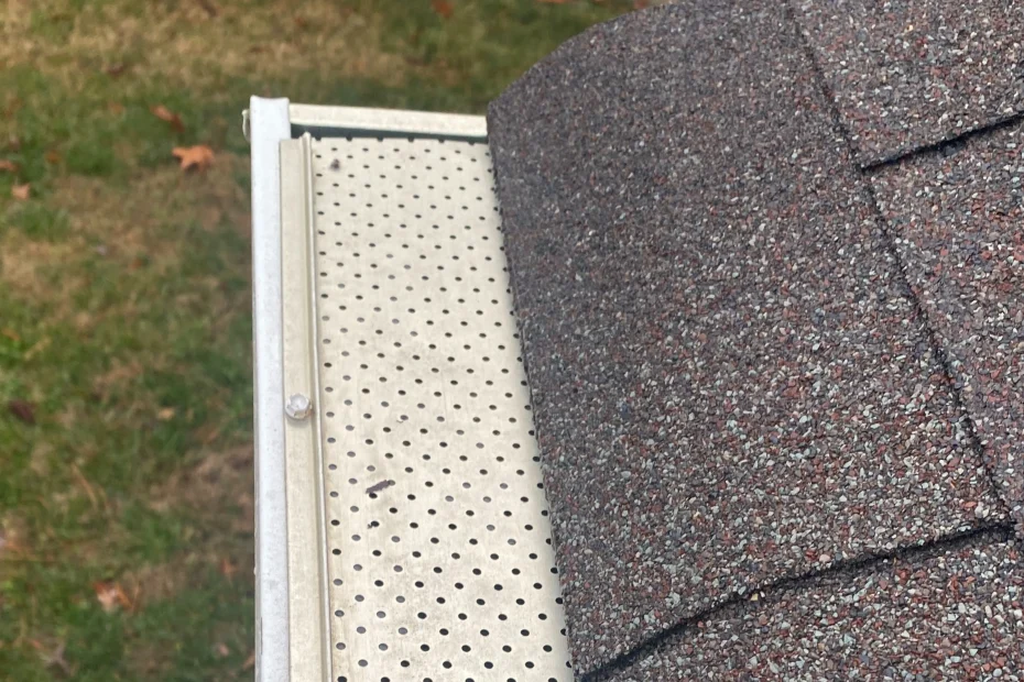 Byron Center Gutter Cleaning
